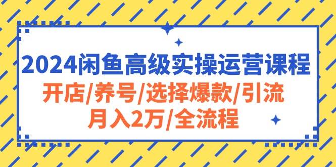 （10711期）2024闲鱼高级实操运营课程：开店/养号/选择爆款/引流/月入2万/全流程-赛德副业库