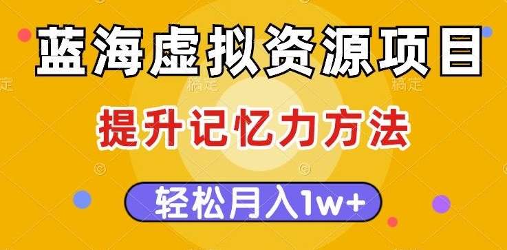 蓝海虚拟资源项目，提升记忆力方法，多种变现方式，轻松月入1w+【揭秘】-赛德副业库