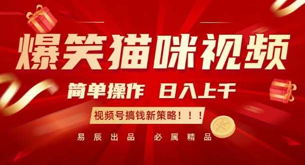 爆笑猫咪视频：简单操作，日入过K，视频号搞钱新策略【揭秘】-赛德副业库