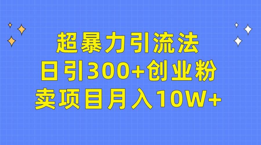 （9954期）超暴力引流法，日引300+创业粉，卖项目月入10W+-赛德副业库