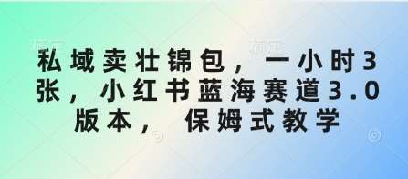私域卖壮锦包，一小时3张，小红书蓝海赛道3.0版本， 保姆式教学-赛德副业库