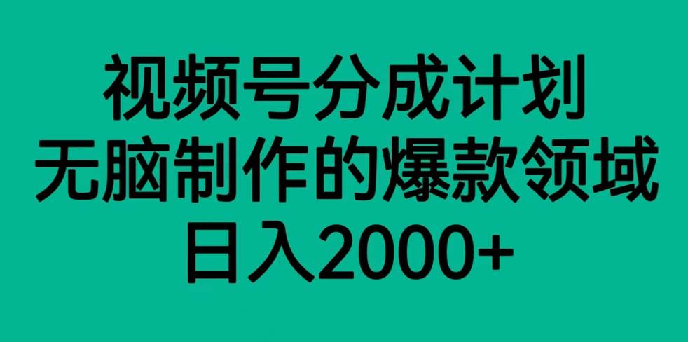 视频号分成计划，轻松无脑制作的爆款领域，日入2000+-赛德副业库