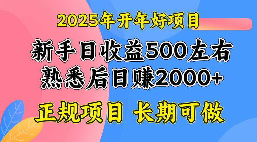 （14076期）2025开年好项目，单号日收益2000左右-赛德副业库