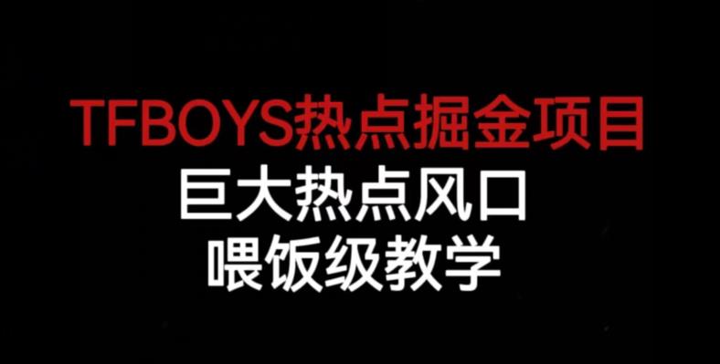 TFBOYS热点掘金项目，巨大热点风口，喂饭级教学-赛德副业库