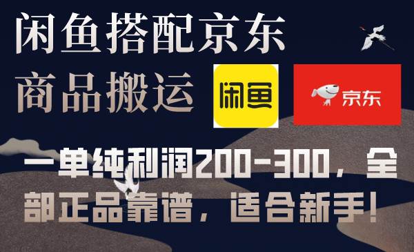 （7892期）闲鱼搭配京东备份库搬运，一单纯利润200-300，全部正品靠谱，适合新手！-赛德副业库