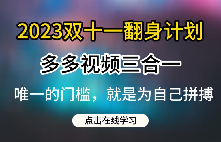 2023双十一翻身计划，多多视频带货三合一玩法教程【揭秘】-赛德副业库