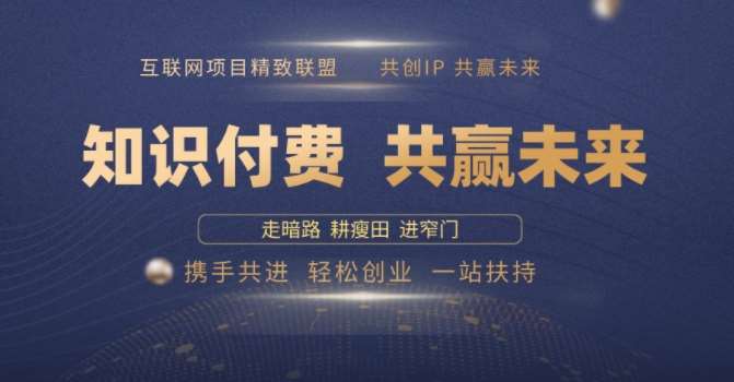 别人苦寻无果，为何他们靠知识付费卖项目 2025 年轻松年入100个?【揭秘】-赛德副业库