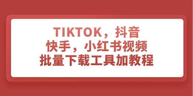 （7714期）TIKTOK，抖音，快手，小红书视频批量下载工具加教程-赛德副业库