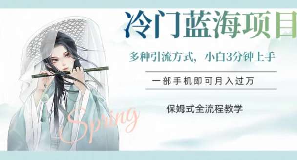 冷门蓝海项目，操作简单，小白3分钟上手，多种引流方式，保姆式全流程教学【揭秘】-赛德副业库
