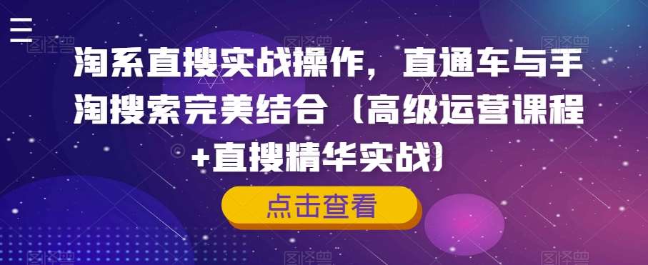 淘系直搜实战操作，直通车与手淘搜索完美结合（高级运营课程+直搜精华实战）-赛德副业库