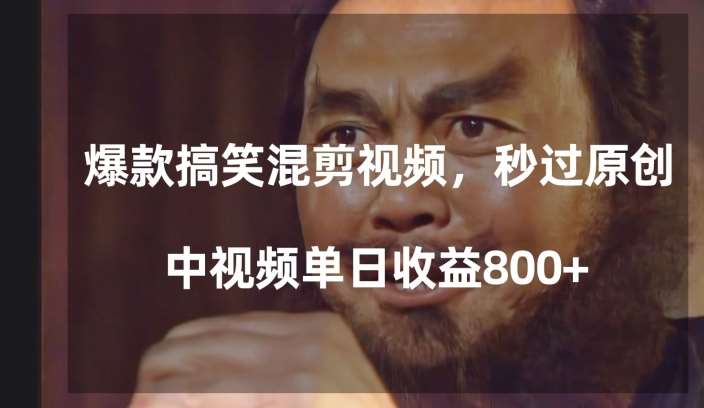 爆款搞笑混剪视频，百分百过原创，单日中视频播放收益800+【揭秘】-赛德副业库