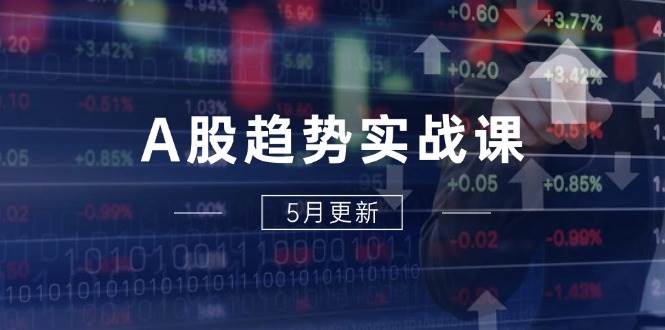（14808期）A股趋势实战课：主力动向+政策红利，2025全年策略5月更新-赛德副业库