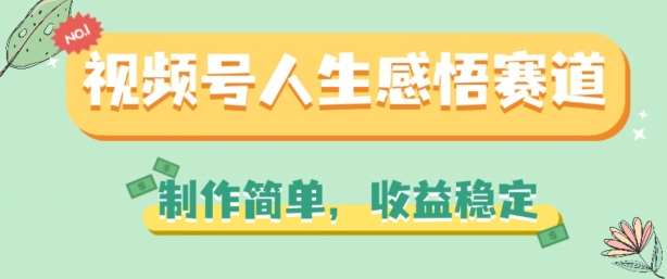 视频号人生感悟赛道，制作简单，收益稳定【揭秘】-赛德副业库