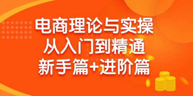（9576期）电商理论与实操从入门到精通 新手篇+进阶篇-赛德副业库