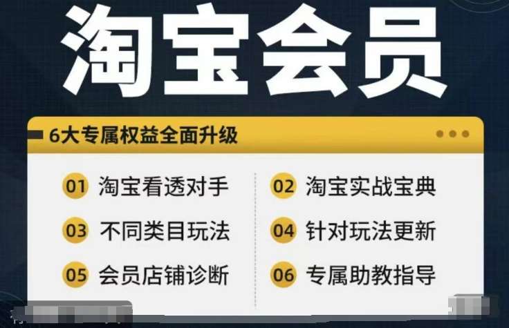 淘宝会员【淘宝所有课程，全面分析对手】，初级到高手全系实战宝典-赛德副业库