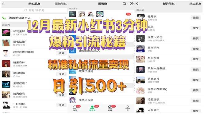 （13653期）12月最新小红书3分钟爆粉引流秘籍 精准私域流量变现 日引500+-赛德副业库