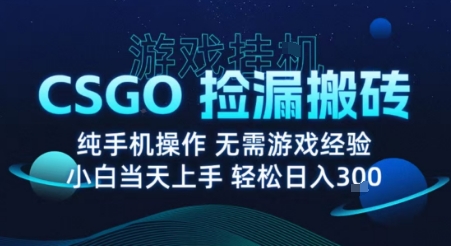 8月最新游戏搬砖，CSGO纯挂G，不需要玩游戏，实现真挂G，月入1W+【揭秘】-赛德副业库
