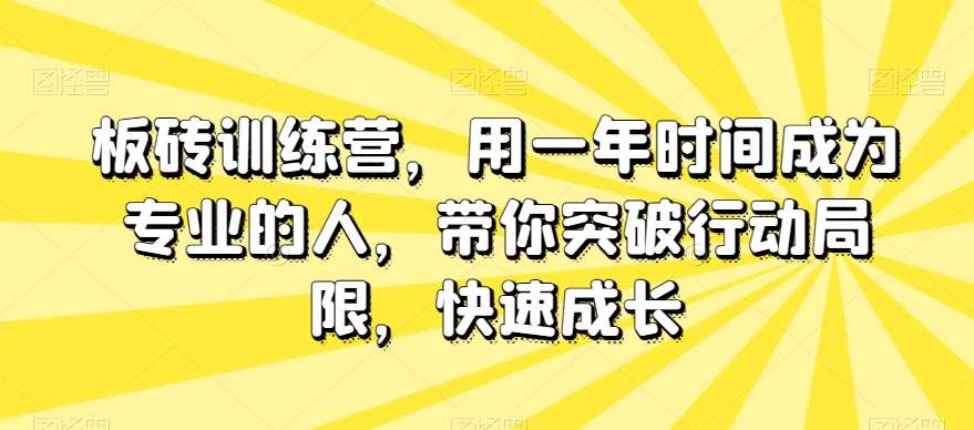 板砖训练营,用一年时间成为专业的人,带你突破行动局限,快速成长-赛德副业库