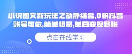 小说推文图文新玩法之动静结合，0粉抖音账号可做，简单粗暴，单日变现多张-赛德副业库