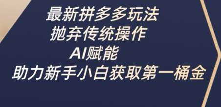 最新拼多多玩法，抛弃传统操作，AI赋能，助力新手小白获取第一桶金-赛德副业库