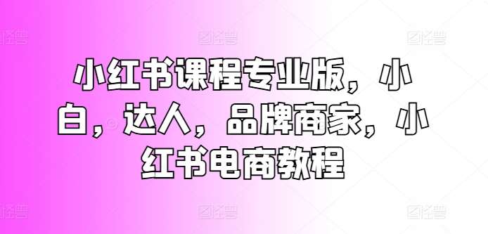 小红书课程专业版，小白，达人，品牌商家，小红书电商教程-赛德副业库