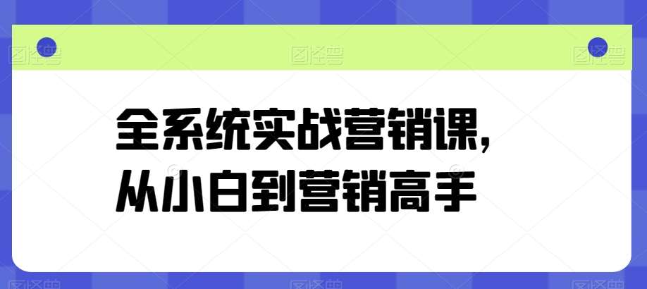 全系统实战营销课,从小白到营销高手-赛德副业库
