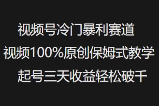 视频号冷门暴利赛道视频100%原创保姆式教学起号三天收益轻松破千-赛德副业库