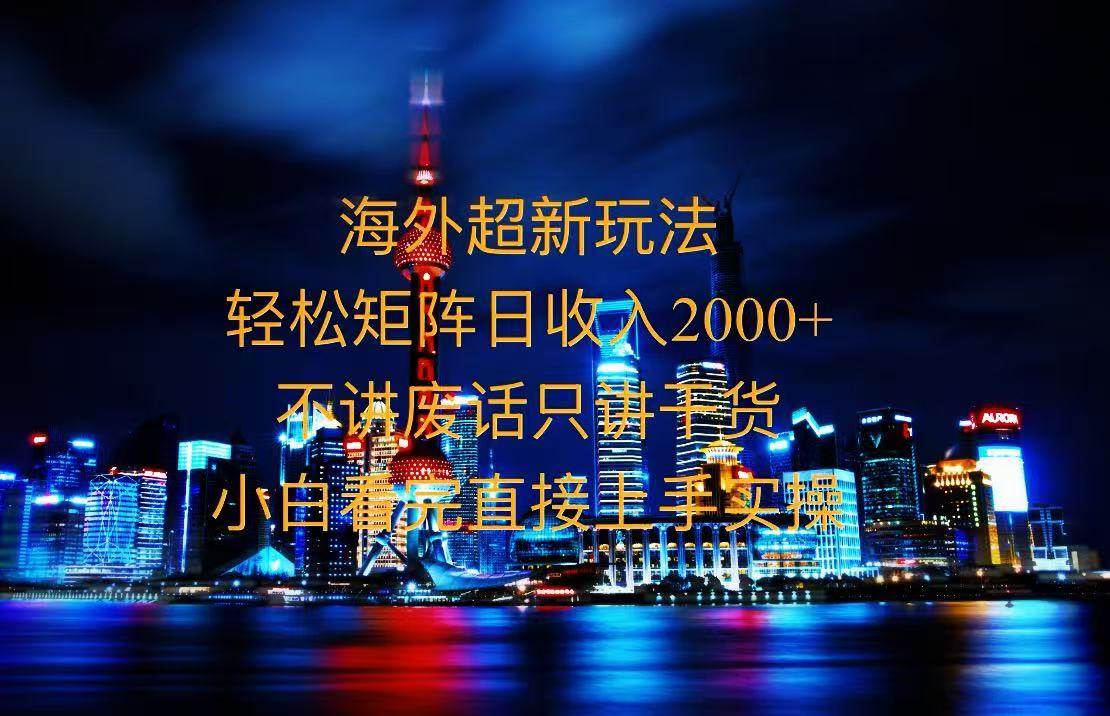 （13583期）2025全新海外暴力玩法，操作简单，小白轻松上手-赛德副业库
