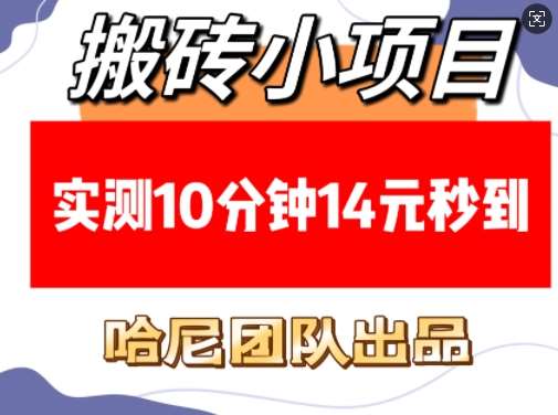 搬砖小项目，实测10分钟14元秒到，每天稳定几张(赠送必看稳定)-赛德副业库