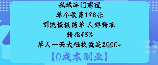 私域冷门赛道:单个收费198米引流模板简单人群精准转化45%单人一天大概收益是1k+-赛德副业库