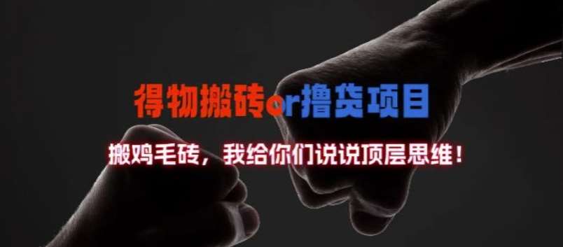 得物搬砖撸货项目?掰下数据，我给你们说说顶层思维【揭秘】-赛德副业库