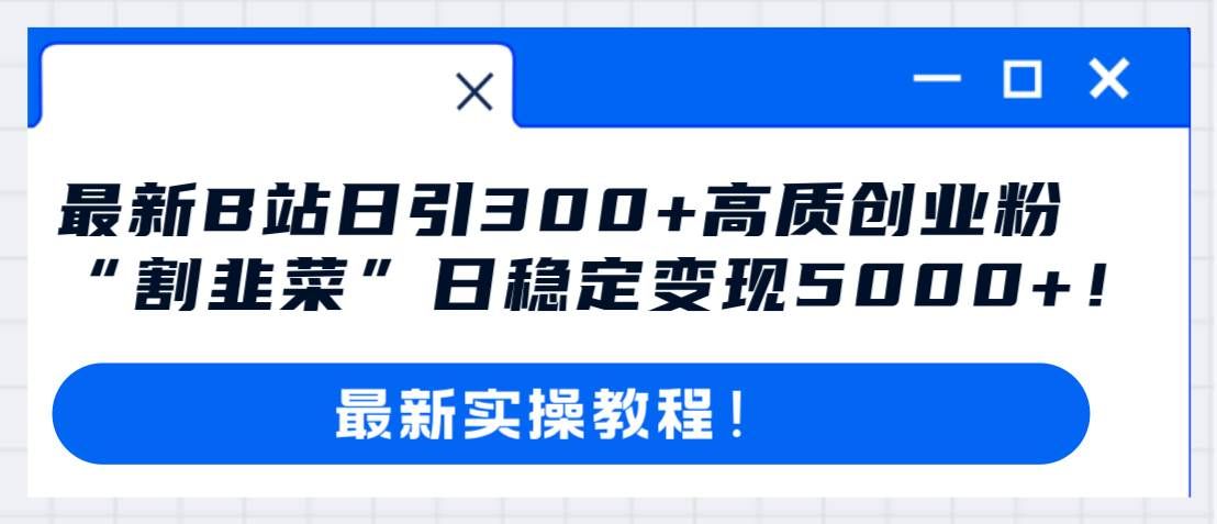 （8216期）最新B站日引300+高质创业粉教程！“割韭菜”日稳定变现5000+！-赛德副业库