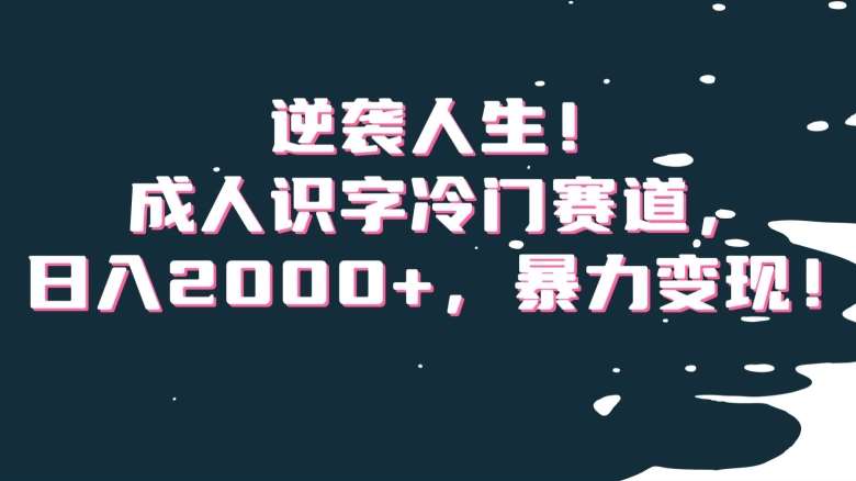 逆袭人生!成人识字冷门赛道,日入2000+,暴力变现!【揭秘】-赛德副业库