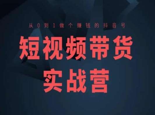 短视频带货实战营(高阶课)，从0到1做个赚钱的抖音号-赛德副业库