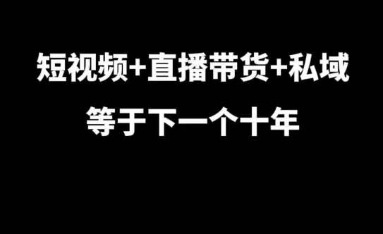 短视频+直播带货+私域等于下一个十年，大佬7年实战经验总结-赛德副业库