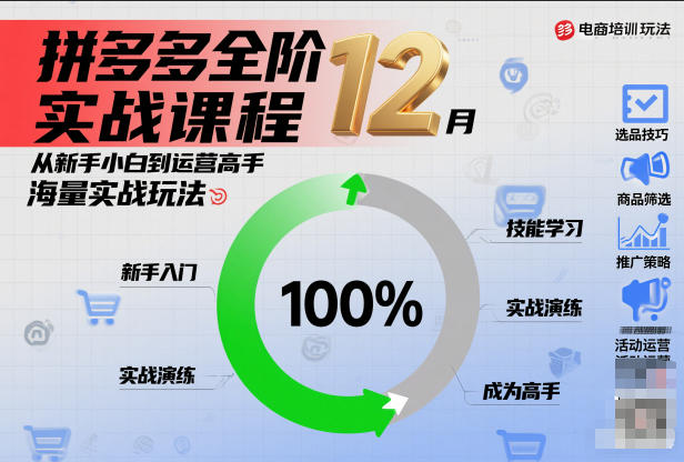 拼多多全阶实战课程12月，从新手小白到运营高手，海量实战玩法-赛德副业库