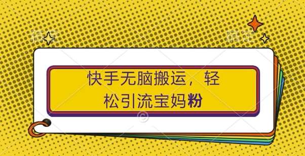 快手无脑搬运，轻松引流宝妈粉，纯小白轻松上手【揭秘】-赛德副业库