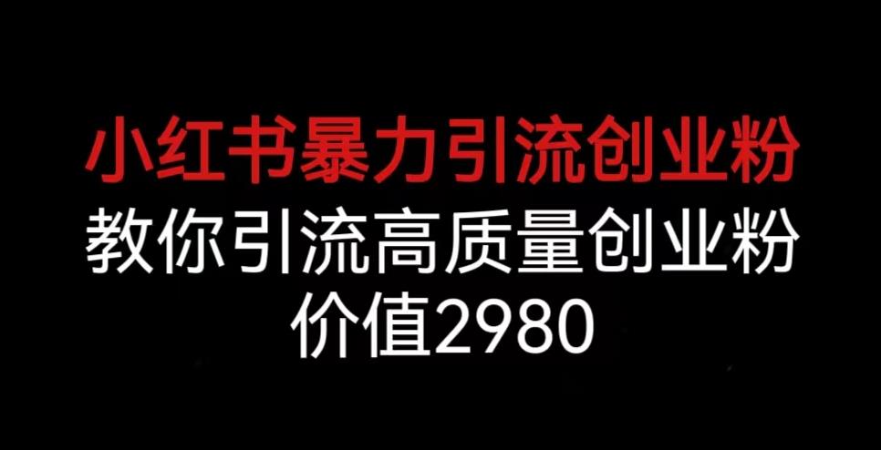 小红书暴力引流创业粉，教你引流高质量创业粉，价值2980【揭秘】-赛德副业库