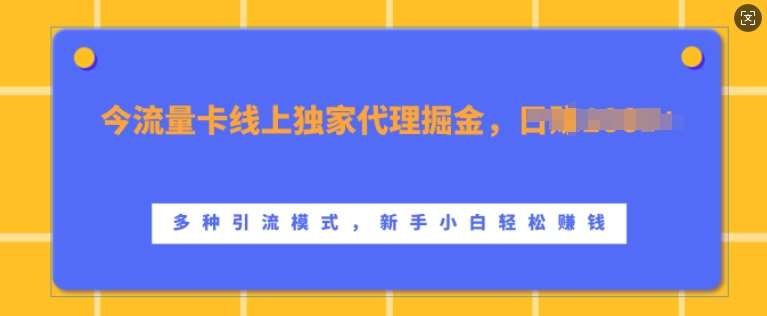 流量卡线上独家代理掘金，日入1k+ ，多种引流模式，新手小白轻松上手【揭秘】-赛德副业库