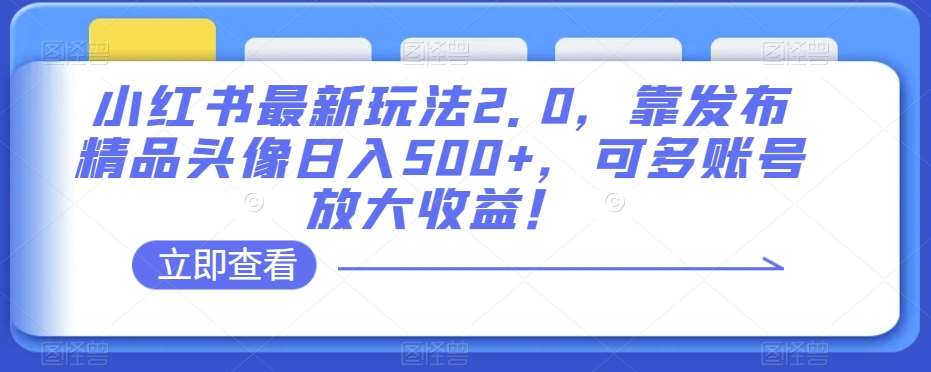 小红书最新玩法2.0，靠发布精品头像日入500+，可多账号放大收益！【揭秘】-赛德副业库