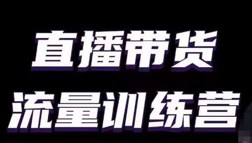 直播带货流量训练营，小白主播必学直播课-赛德副业库