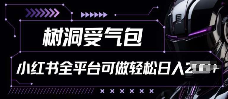 小红书等全平台树洞受气包项目,轻松日入一两张【揭秘】-赛德副业库
