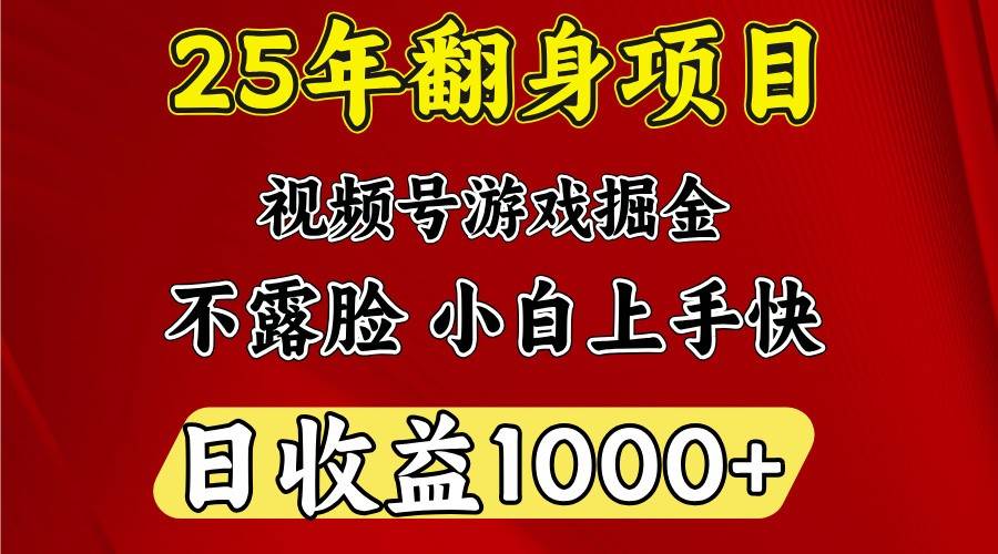 一天收益1000+ 25年开年落地好项目-赛德副业库