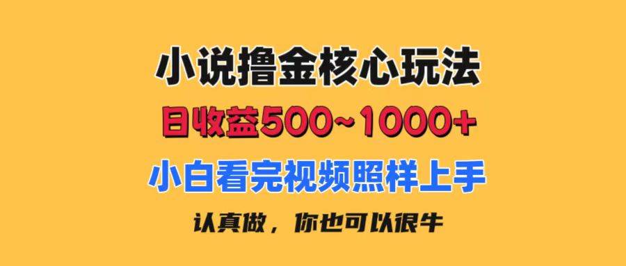 （11461期）小说撸金核心玩法，日收益500-1000+，小白看完照样上手，0成本有手就行-赛德副业库