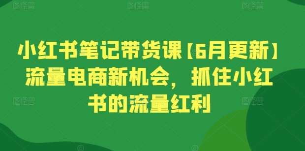 小红书笔记带货课【6月更新】流量电商新机会，抓住小红书的流量红利-赛德副业库