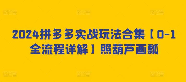 2024拼多多实战玩法合集【0-1全流程详解】照葫芦画瓢-赛德副业库