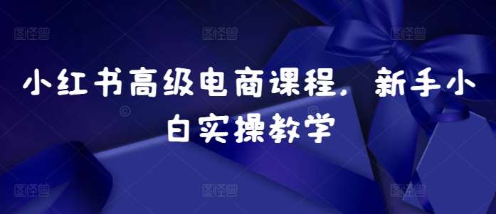 小红书高级电商课程，新手小白实操教学-赛德副业库