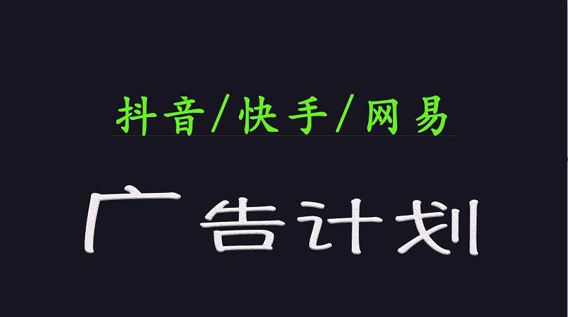 2025短视频平台运营与变现广告计划日入1000+，小白轻松上手-赛德副业库
