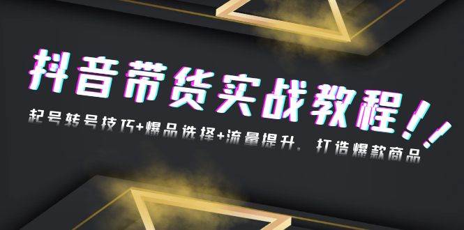 （13526期）抖音带货实战教程：起号转号技巧+爆品选择+流量提升，打造爆款商品-赛德副业库