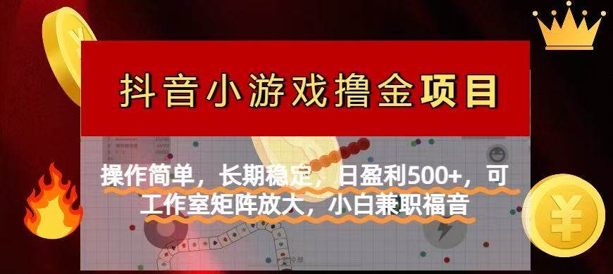 （14290期）【抖音小游戏发行人计划项目】操作简单，长期稳定，日盈利500+，可工作...-赛德副业库